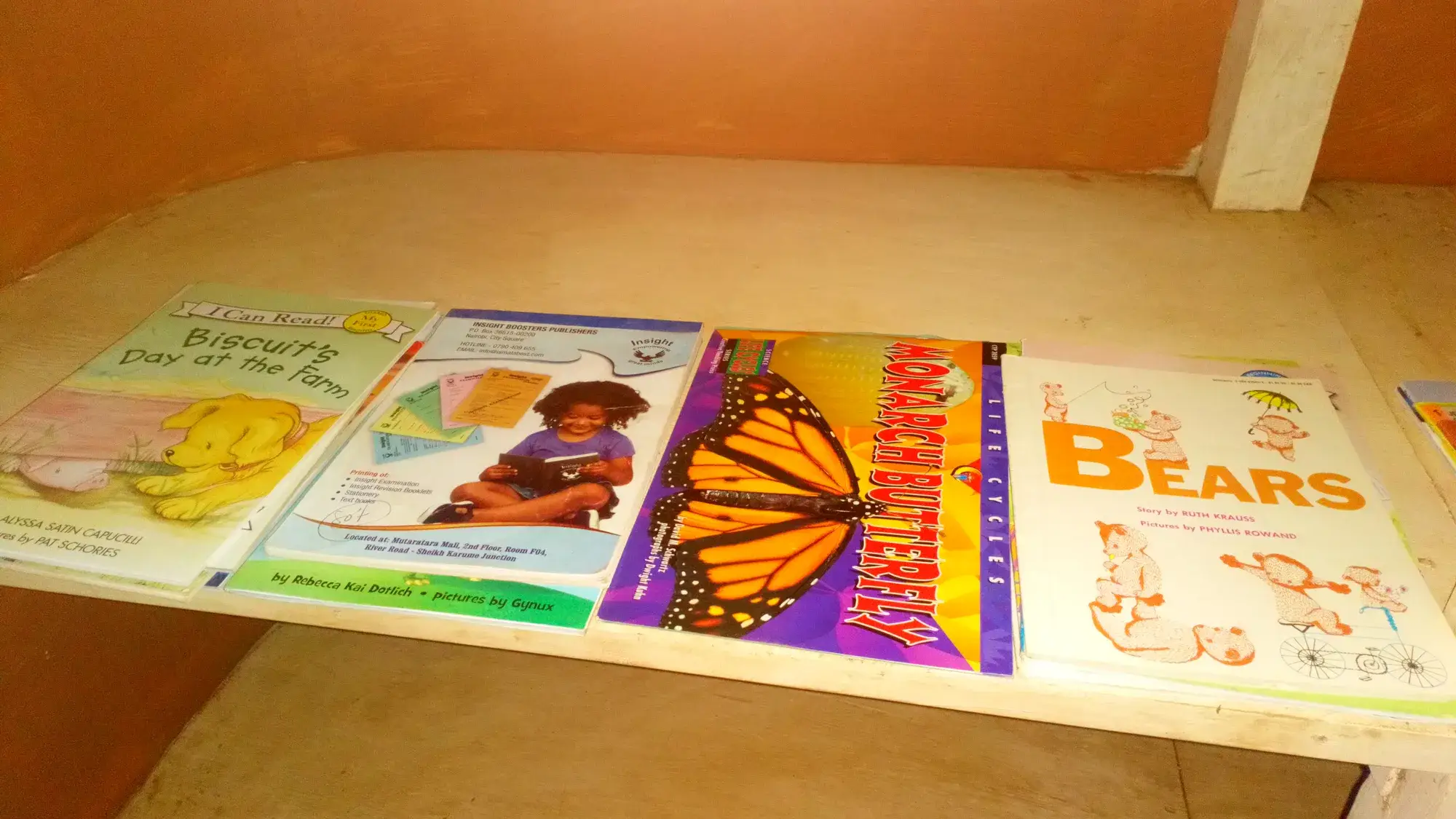 Picture books displayed on a school library shelf
